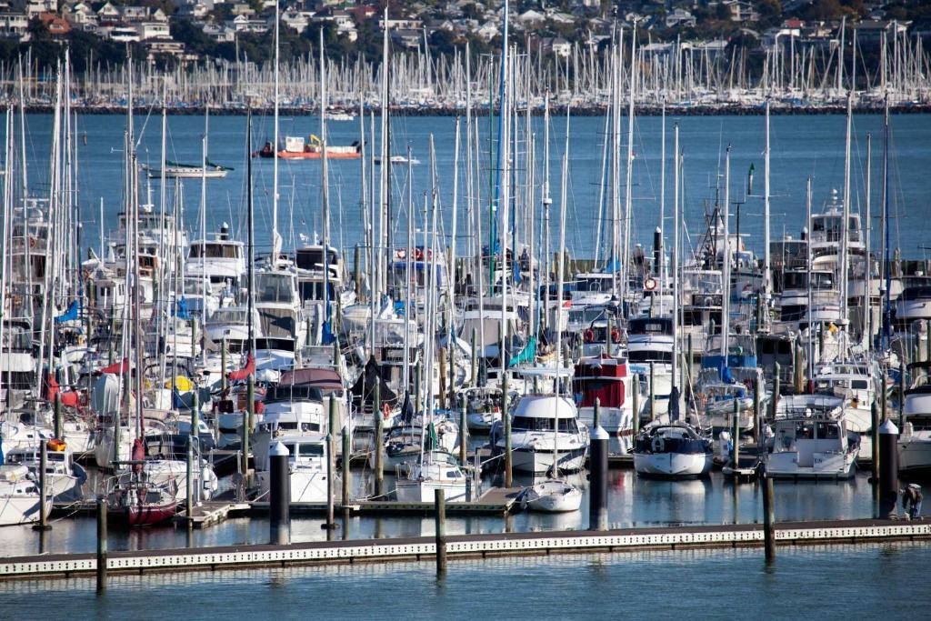 Vr Takapuna Auckland Bagian luar foto The marina at Shelter Cove
